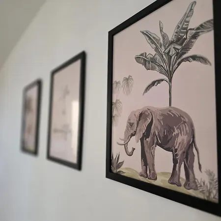 Amuri Appartement *