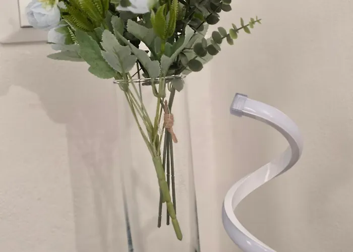 Апартаменти Amuri *